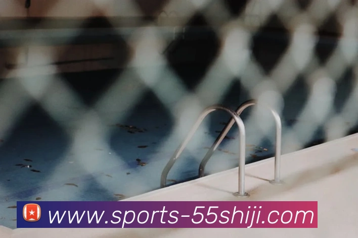 多媒体互动体验