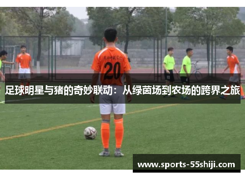 足球明星与猪的奇妙联动：从绿茵场到农场的跨界之旅